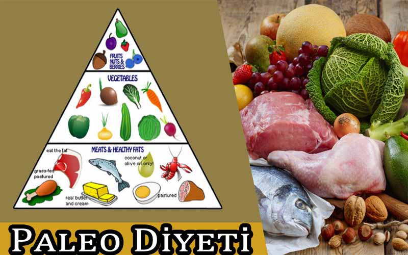 Paleo Diyeti Sık Sorulan Sorular
