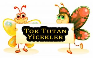 Tok Tutan Yicekler