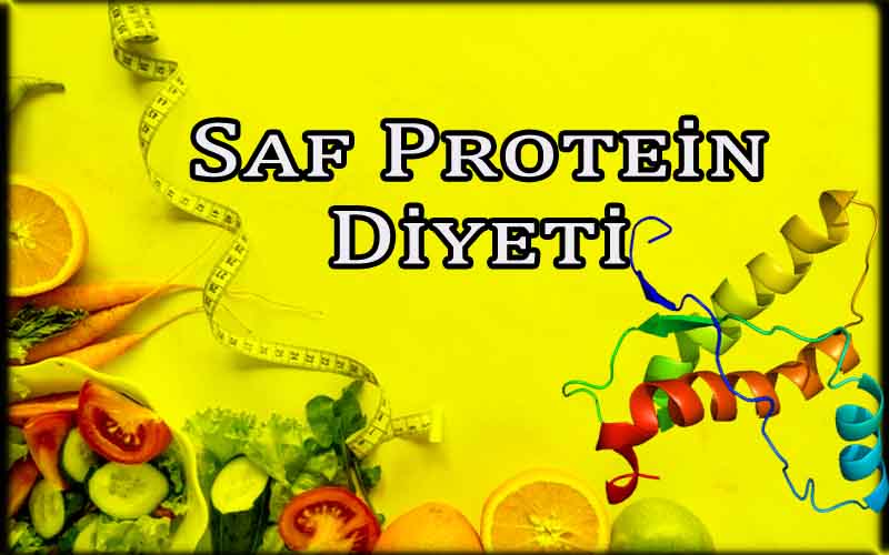 Saf Protein Diyeti